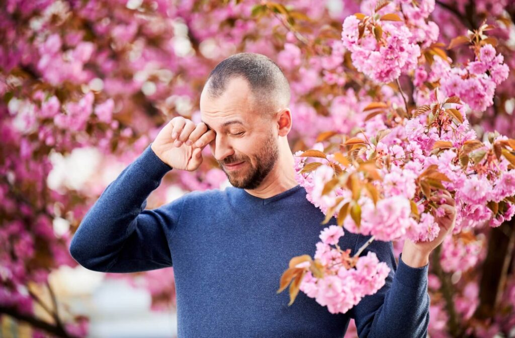 An adult rubbing their eye while standing in front of blooming pink cherry blossoms.